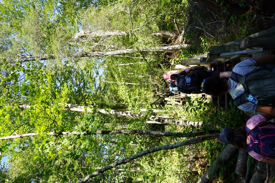 9 - Parc Jacques Cartier